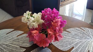 تلفزيون، كُتُب