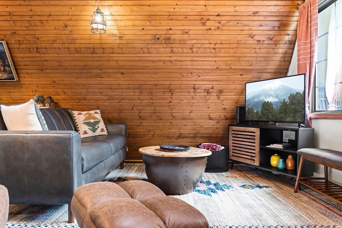 TV, fireplace, books