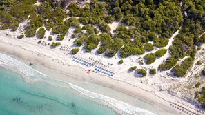 An aerial view of a beach with rows of blue lounge chairs and umbrellas, surrounded by dense greenery and a sandy shoreline. - Hotel Fiore di Maggio (Villasimius)