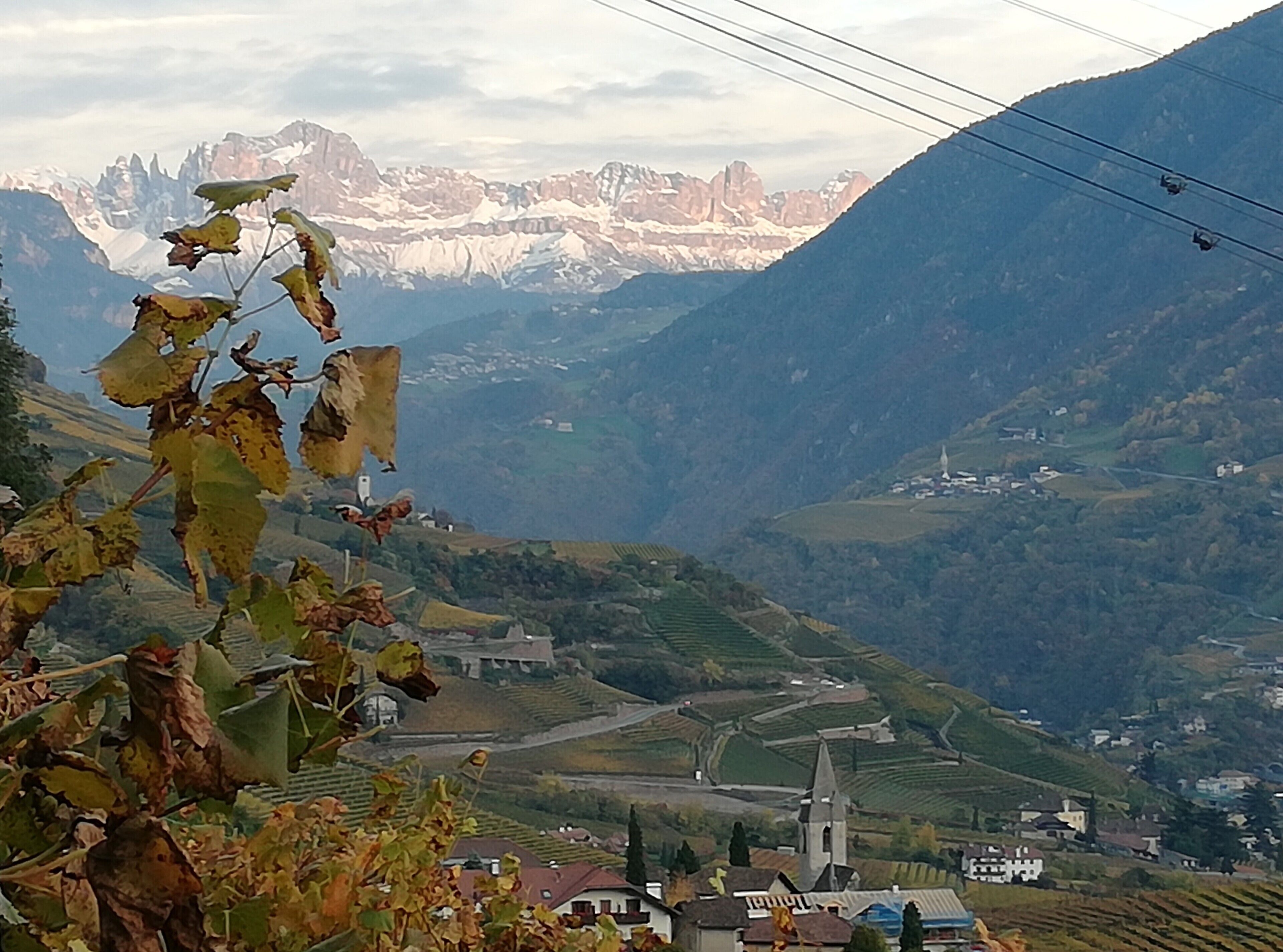 Photo - Hotel La Briosa