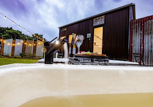 Echidna by Tiny Away