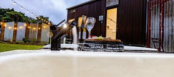 Echidna by Tiny Away