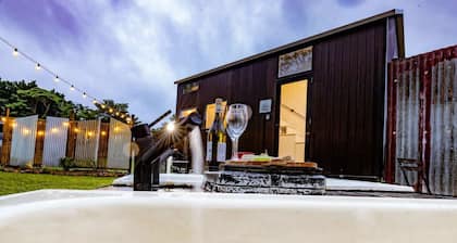 Echidna by Tiny Away