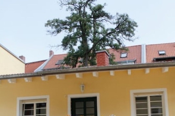 Innenhof mit Sitzgelegenheit und Grill