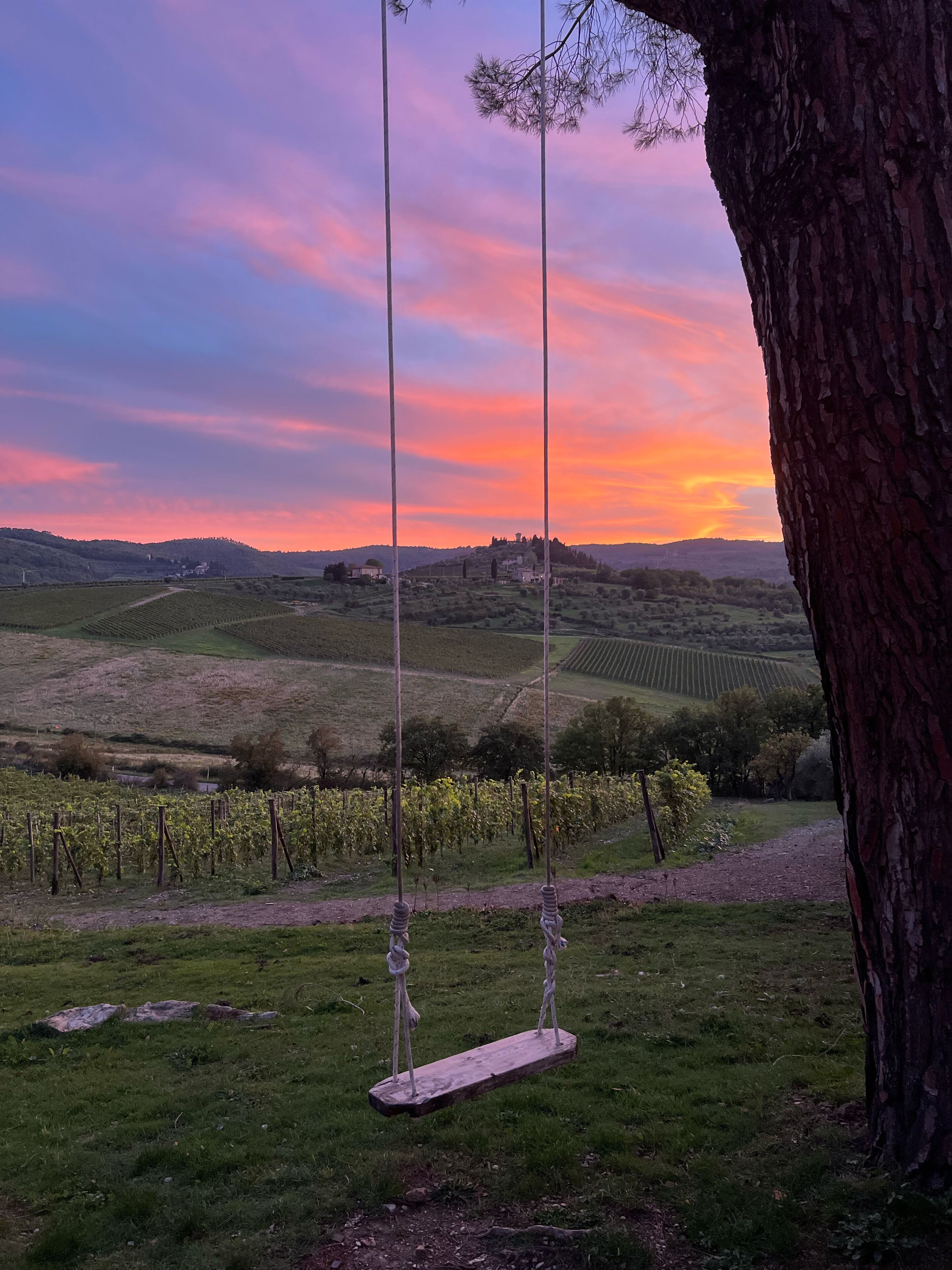 A rustic wooden swing hanging from a tree, overlooking a vineyard and rolling hills during sunset.