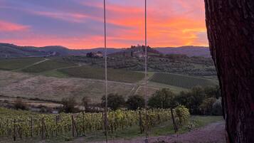 A rustic wooden swing hanging from a tree, overlooking a vineyard and rolling hills during sunset.