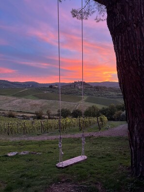 A rustic wooden swing hanging from a tree, overlooking a vineyard and rolling hills during sunset. - Corte di Valle Wine and Resort (Greve in Chianti)