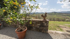 Een citrusboom in pot met een stenen muur en een haanbeeld in het landschap.