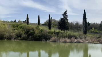 A calm lake with tall trees and a clear sky.