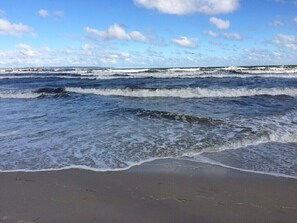 Plage, chaises longues