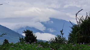Property grounds - Volcanoes Over View Safaris & Camp (Musanze)