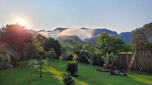 A lush garden with a wooden fence, tropical plants, and a mountain backdrop. - Cabanas Jardim dos Canyons (Praia Grande)
