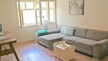 Smart TV, fireplace, books