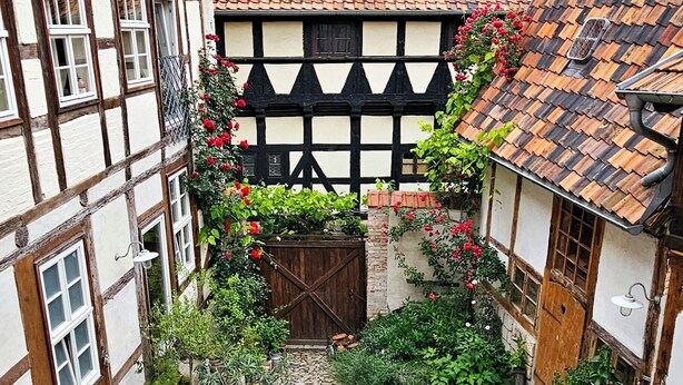 A courtyard with a traditional half-timbered building, stone paving, and potted plants. - ⭐️ heavenly courtyard - jewel from 1477 with parking, 70m², outdoor seating area (Quedlinburg)