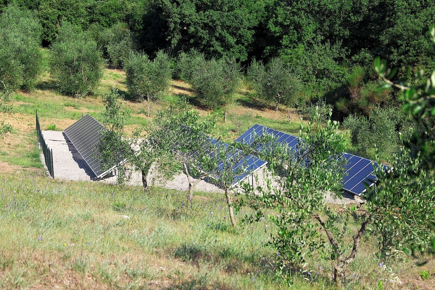 Eine Solaranlage in ländlicher Umgebung mit Bäumen und Gras.
