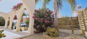 Property grounds - STAY Swallow's Nest Villa (Ayia Napa)