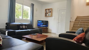 TV