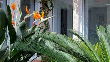 Details aan de buitenkant