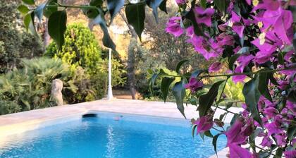 Gßte LES OLIVIERS situé au calme au milieu des pins et proche des plages