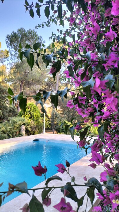 Gîte LES OLIVIERS located in a quiet area among the pines, close to the beaches