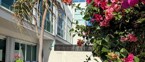 Una piscina al aire libre