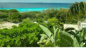 A coastal view with dense greenery and a clear blue sky. - Casa Paraiso Caribe - stunning views! (Isla Mujeres)