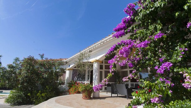 Ein Gebäude mit einer überdachten Terrasse, umgeben von üppigem Grün und violetten Blumen.