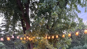 A tree with a wooden deck in the foreground and a string of lights in the background. - Beautiful 2 Bedroom Duplex (Fond du Lac)
