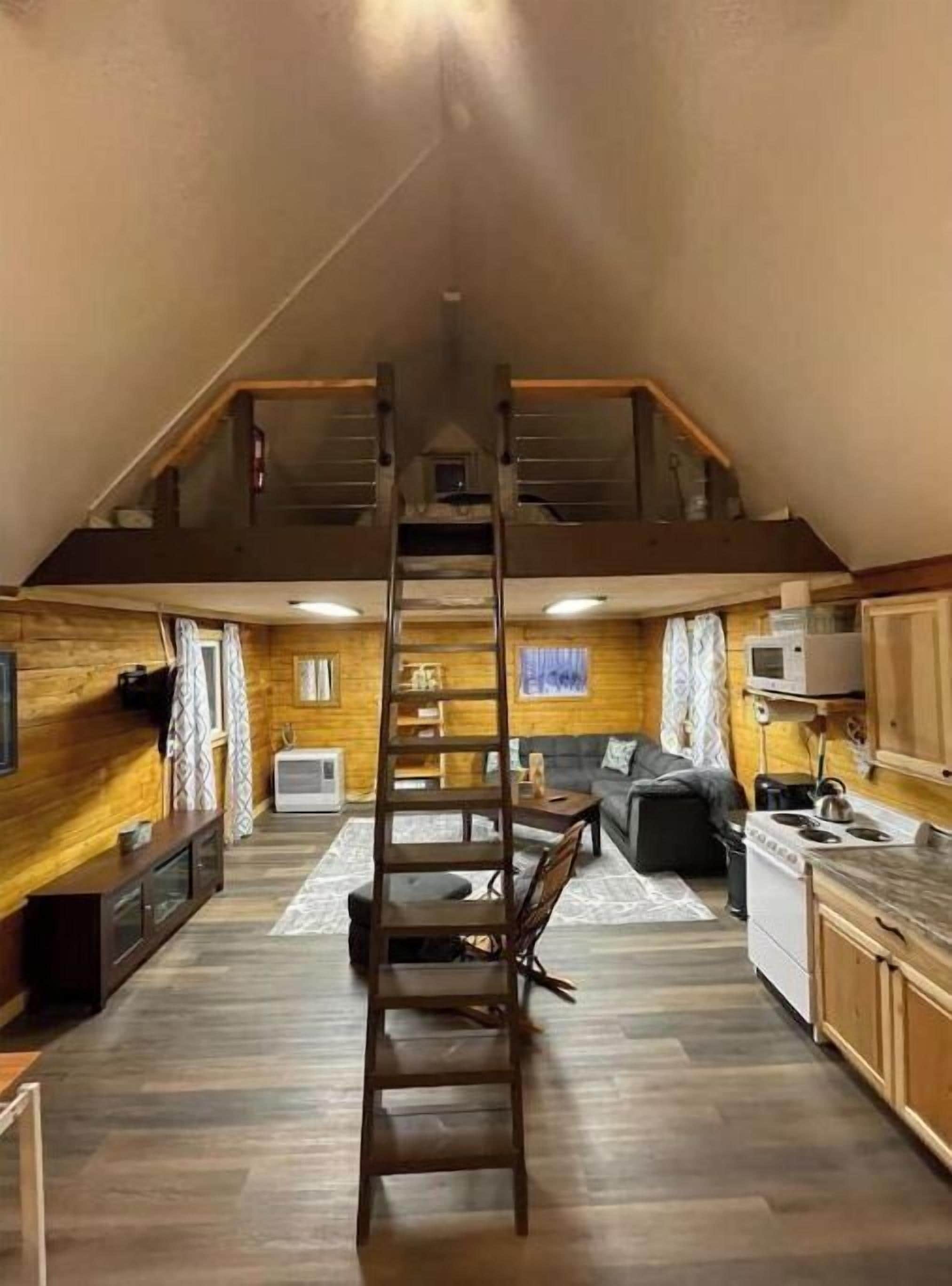 Smart TV, reproductor de DVD y libros 