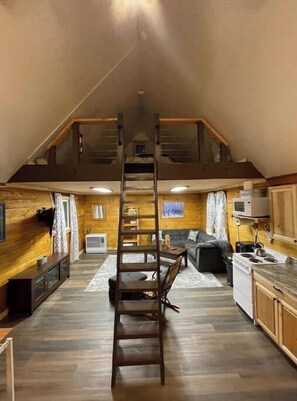 Smart TV, DVD player, books