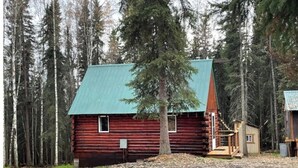 A rustic cabin with a green roof, surrounded by tall trees. - Rustic Cabin at 17.5 Chena Hot Springs Rd. (Fairbanks)