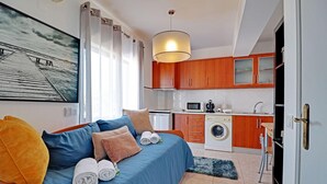 Un ambiente compatto con un letto, un divano, un tavolo da pranzo, una lavatrice e un angolo cottura.