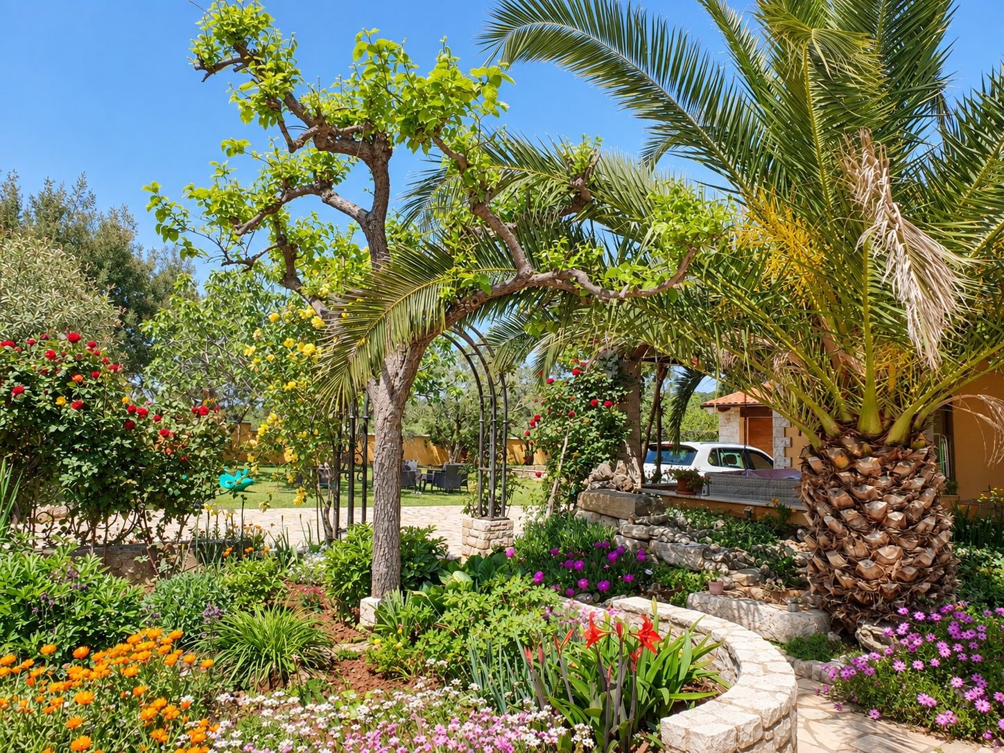 A landscaped garden with various plants and a palm tree.