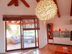 TV, fireplace, books