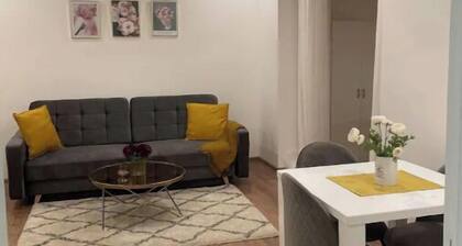 Helen Homestay Žižkov
