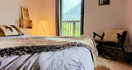 Village house 8 mn des 2 alpes