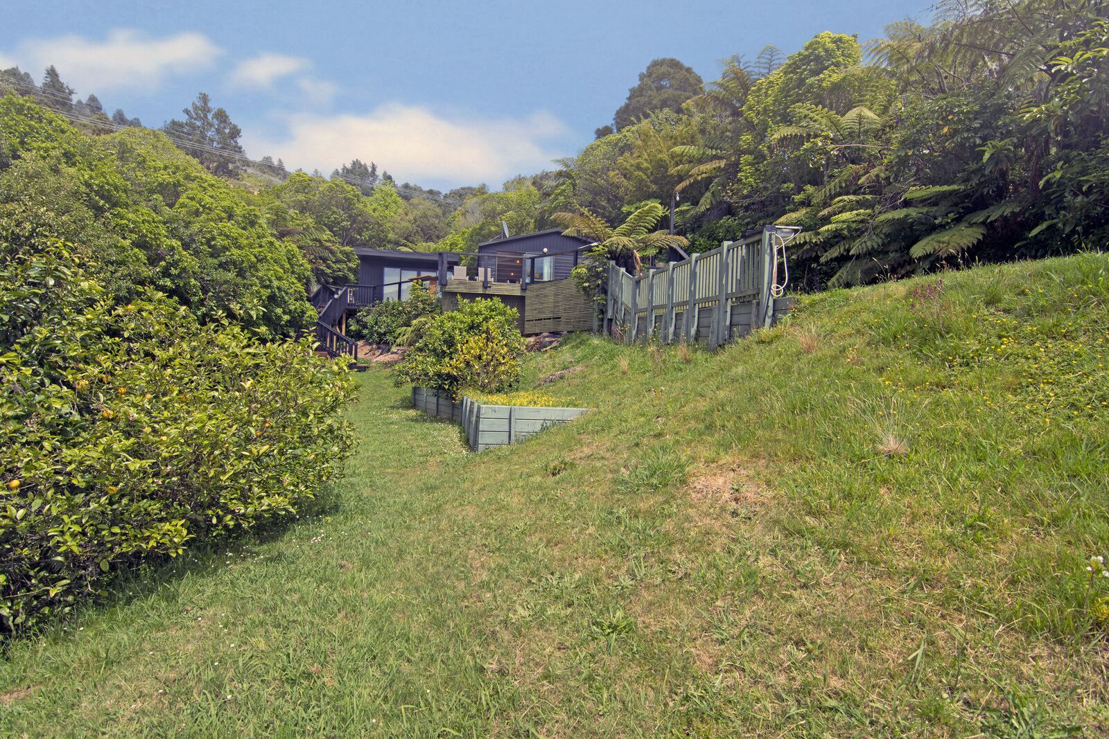 A house surrounded by lush greenery and a wooden fence.