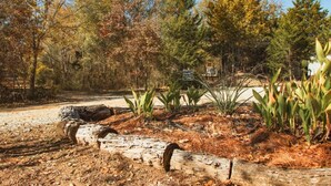 A natural landscape with a dirt path, wooden logs, and various plants.