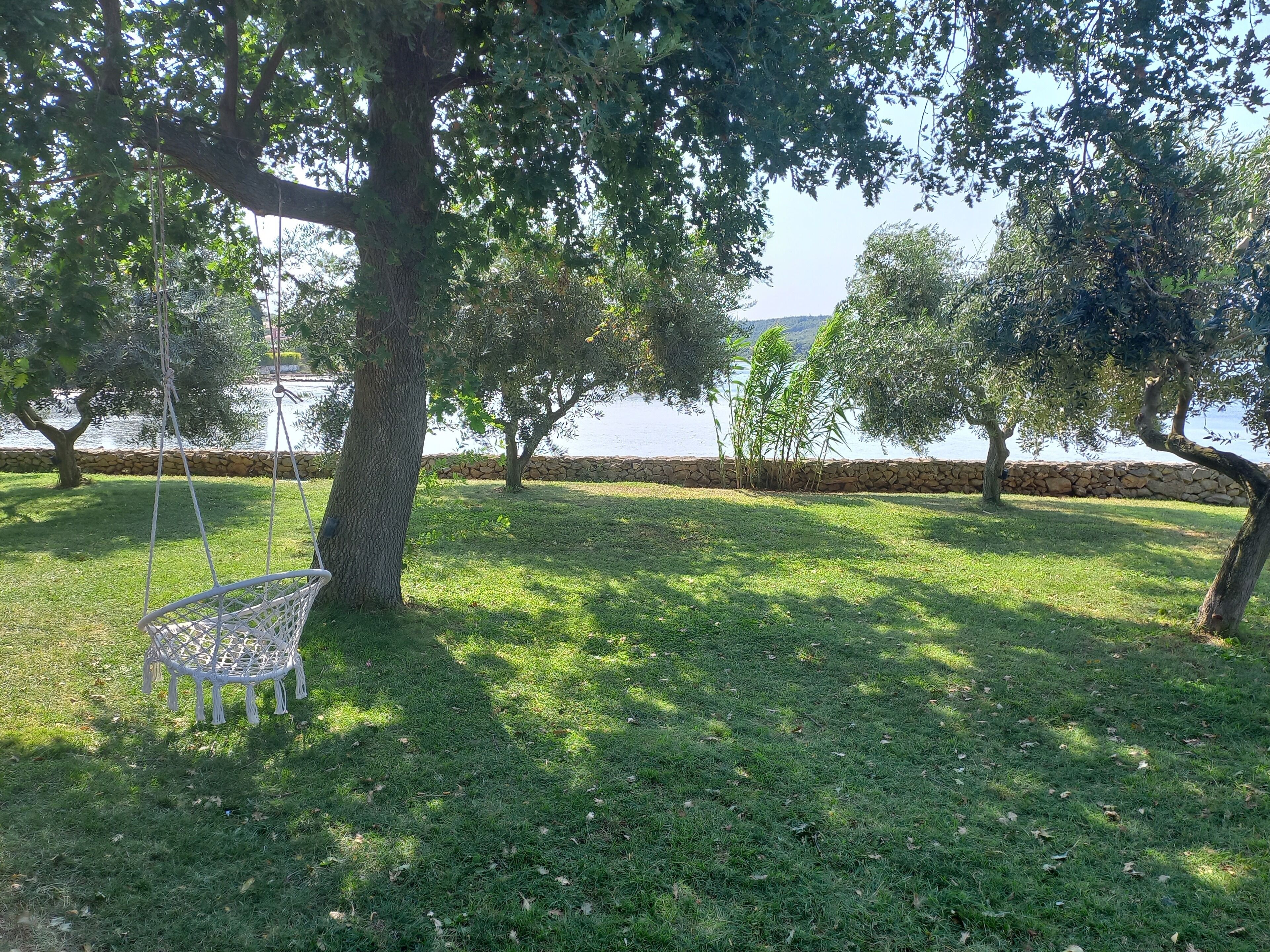 A grassy area with a swing chair and a tree, near a body of water.