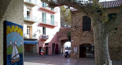 Collioure 20 m from the beach, town centre, very comfortable apartment.