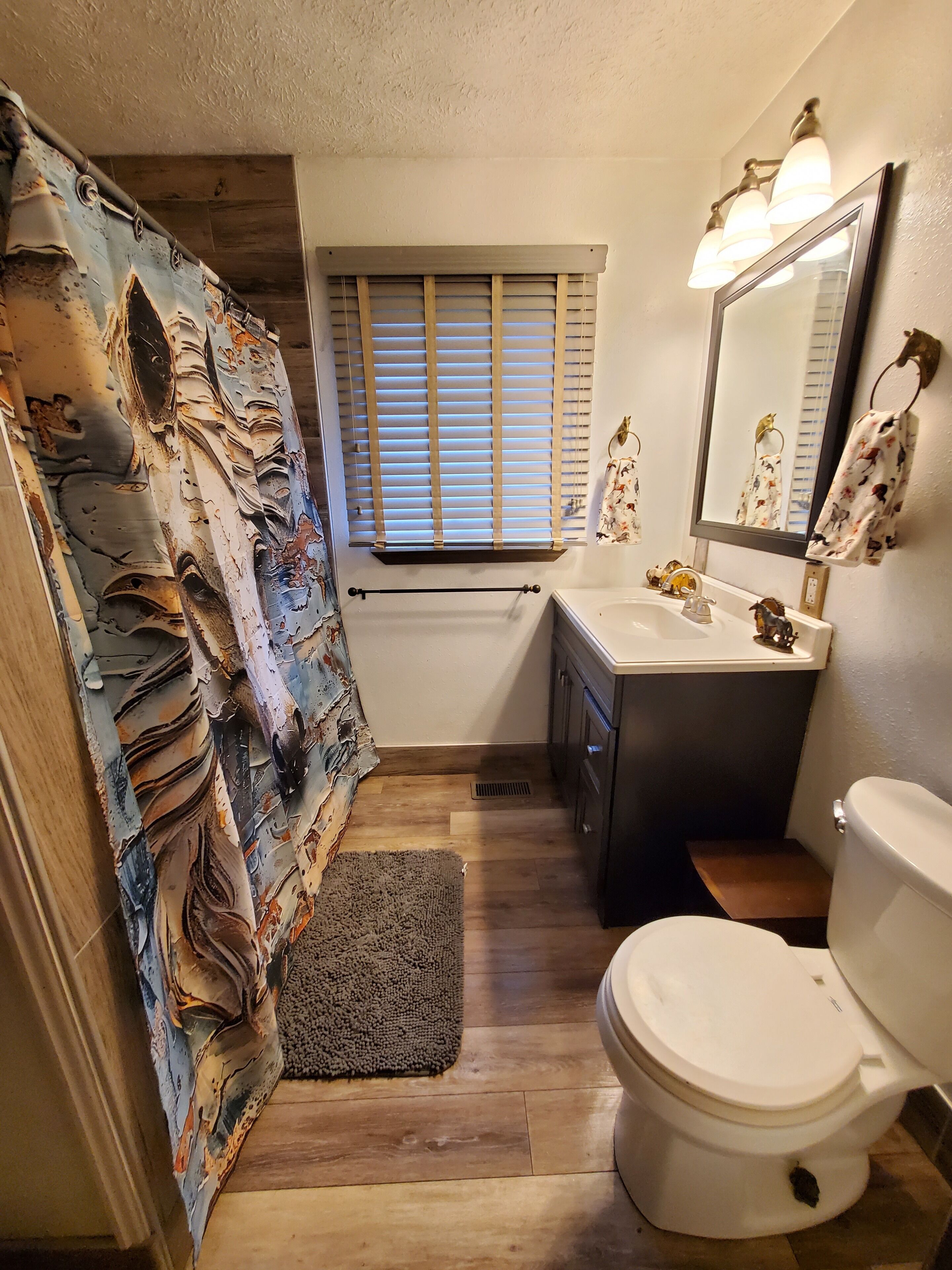Shower, towels, toilet paper