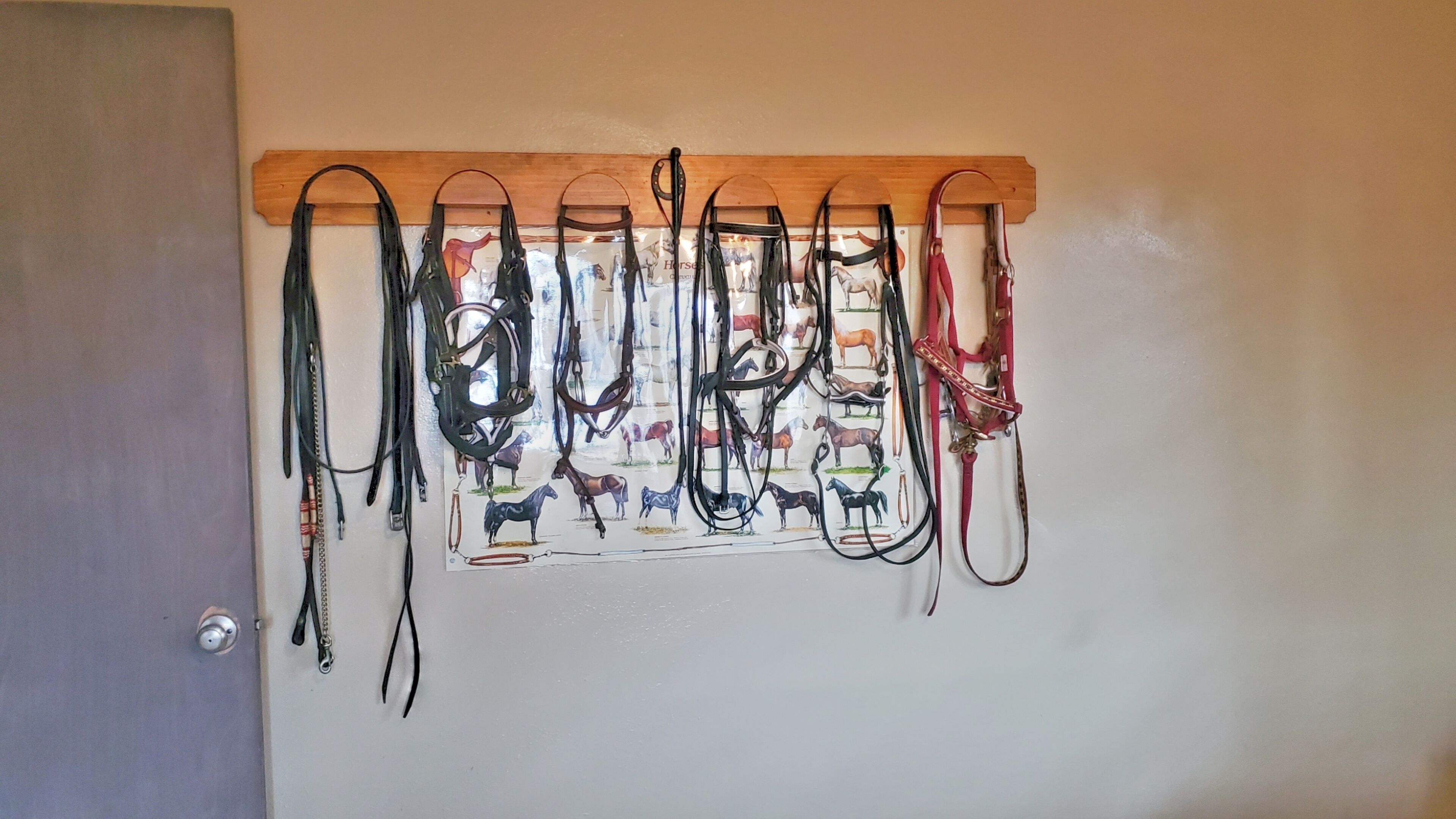 A wall-mounted rack with various horse bridles and reins.