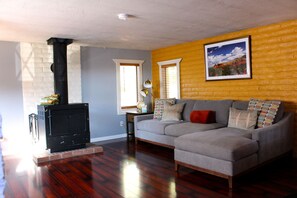 Älytelevisio, takka, DVD-soitin, kirjoja