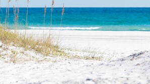 Une plage de sable blanc avec une végétation clairsemée.