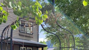 A residential property with a well-maintained lawn, a wooden fence, and a metal gate. - Perfect spot for your group in Crested Butte! Convenient, walkable, pet friendly (Crested Butte)