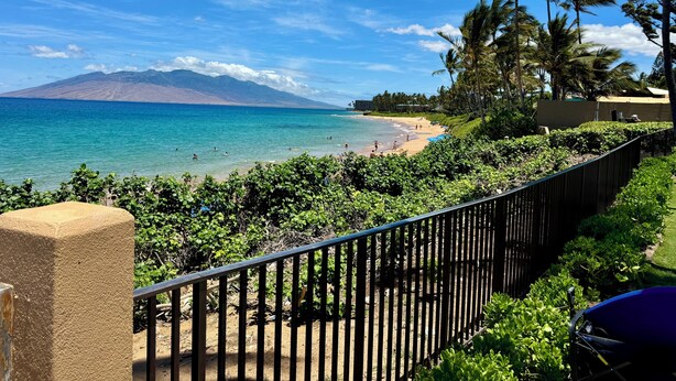 Vista de playa con una montaña al fondo, una valla y abundante vegetación.