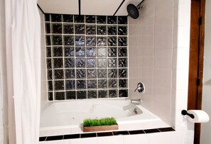 Douche, baignoire à remous, séchoir à cheveux, serviettes fournies