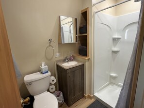 Shower, towels, toilet paper