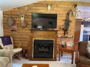 Smart TV - Rack Shack Rustic Cabin Retreat (Markleysburg)