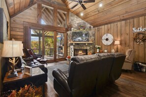 智能电视、壁炉、电子游戏、DVD 播放器